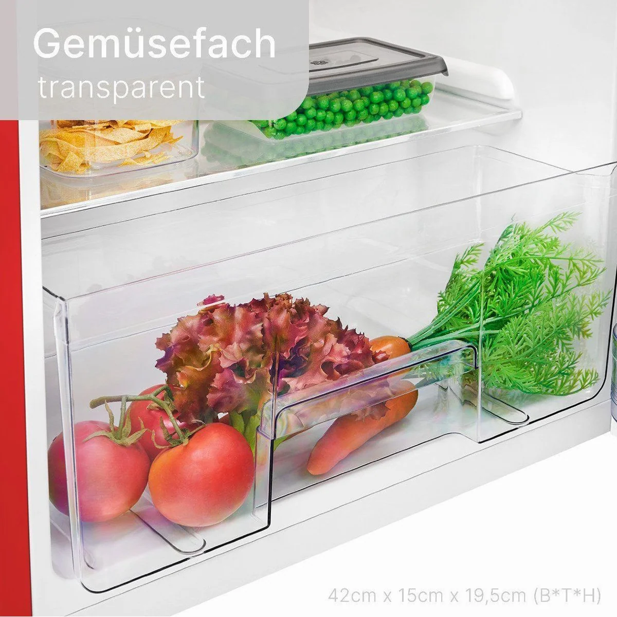 BOMANN DTR 353.1 Kühl-/Gefrierkombination, 208L Nutzinhalt, Retro-Design 3