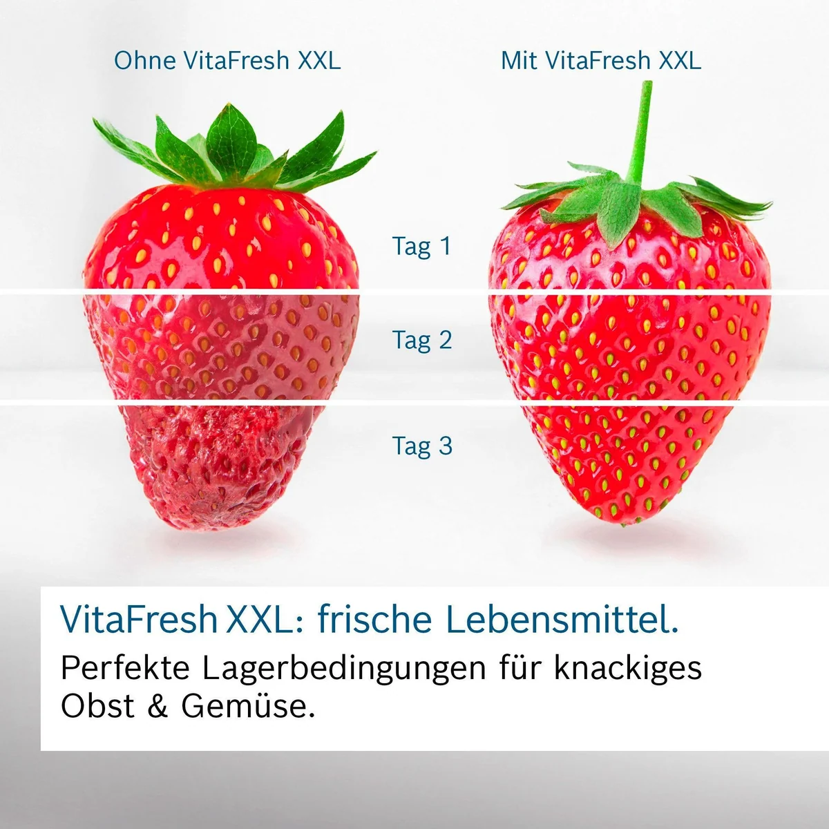 BOSCH KGN49AIBT Kühl-/Gefrierkombination, No Frost, LED-Beleuchtung, Energieeffizienzklasse B Dieses Produkt der Marke BOSCH wird von uns als 2