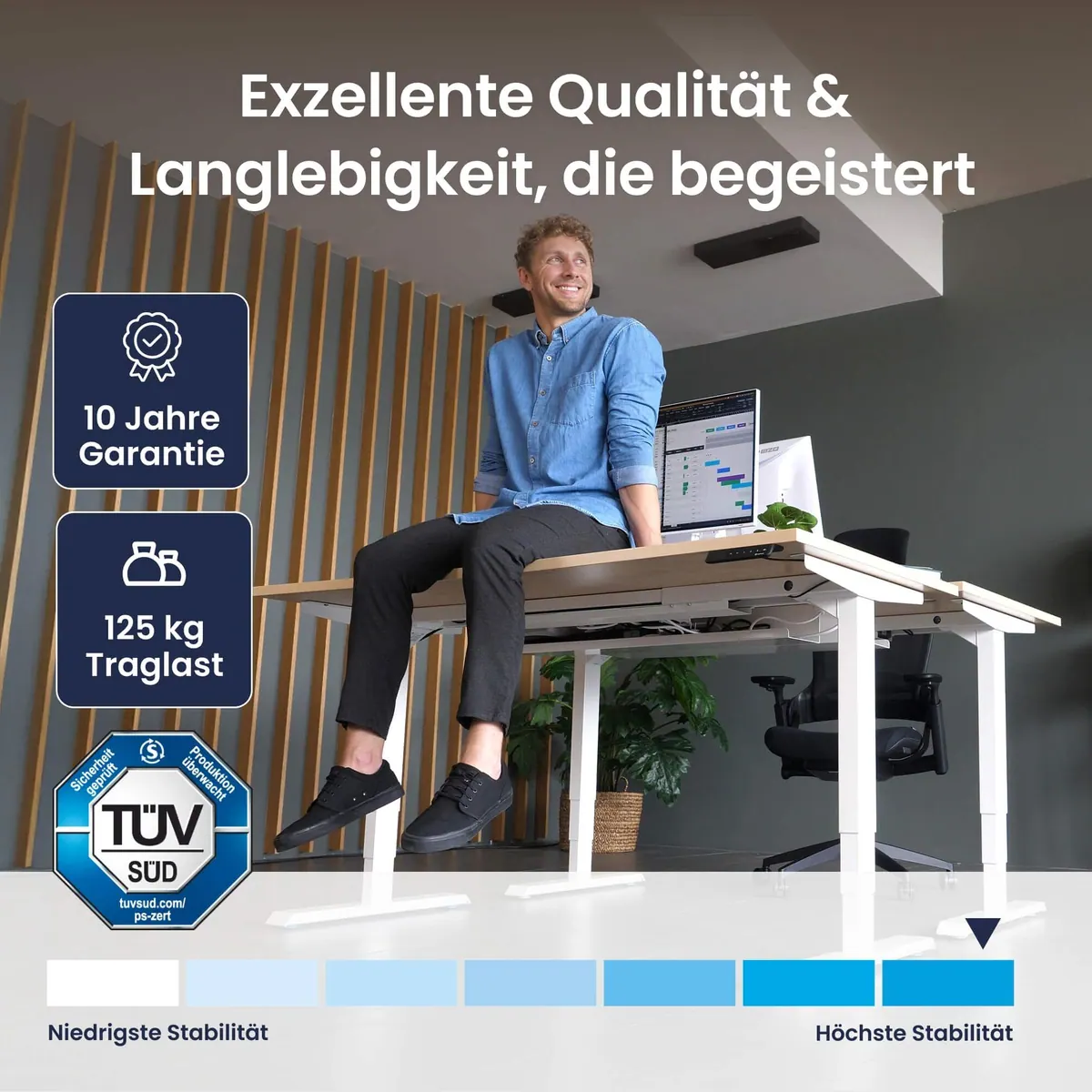 Ergotopia Pro X elektrisch höhenverstellbarer Schreibtisch, flexibel, stabil, mit OLED-Display 4