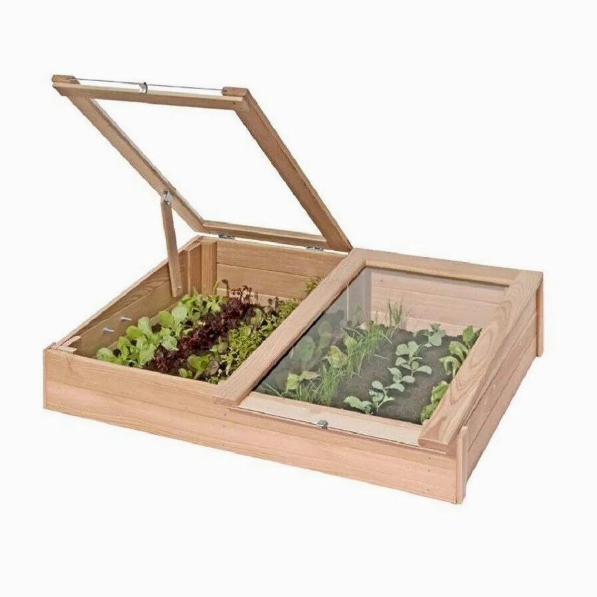 Gartenpirat Frühbeet-Kasten, Lärchenholz, 119x80x30 cm — zwei verstellbare Fenster