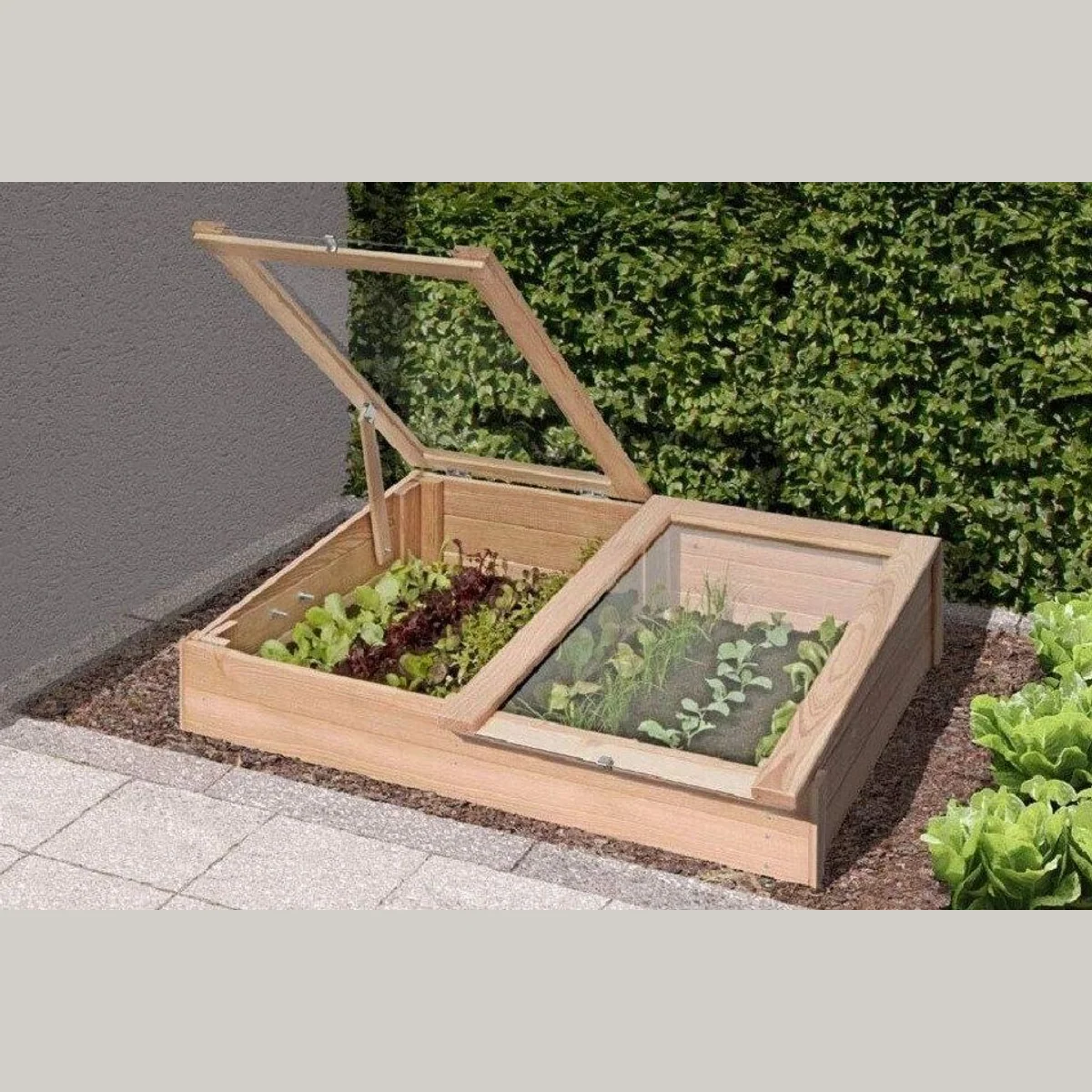 Gartenpirat Frühbeet-Kasten, Lärchenholz, 119x80x30 cm — zwei verstellbare Fenster 2