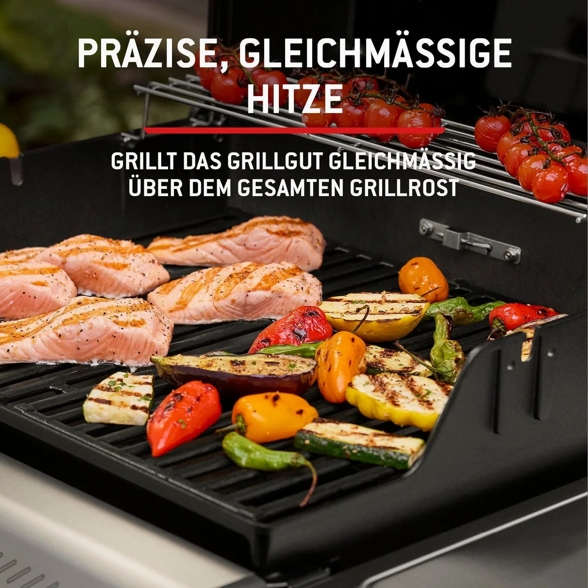Weber Spirit E-210 Gasgrill, kompakt, leistungsstark, vielseitig — max. 7,0 kW Dieses Produkt der Marke Weber wird von uns als unabhängigem Händler 4