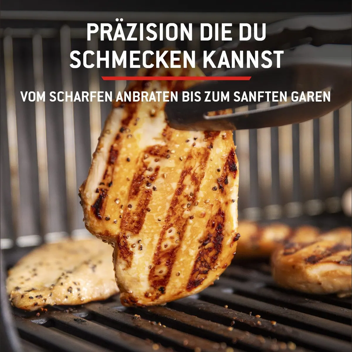 Weber Spirit E-210 Gasgrill, kompakt, leistungsstark, vielseitig — max. 7,0 kW Dieses Produkt der Marke Weber wird von uns als unabhängigem Händler 5